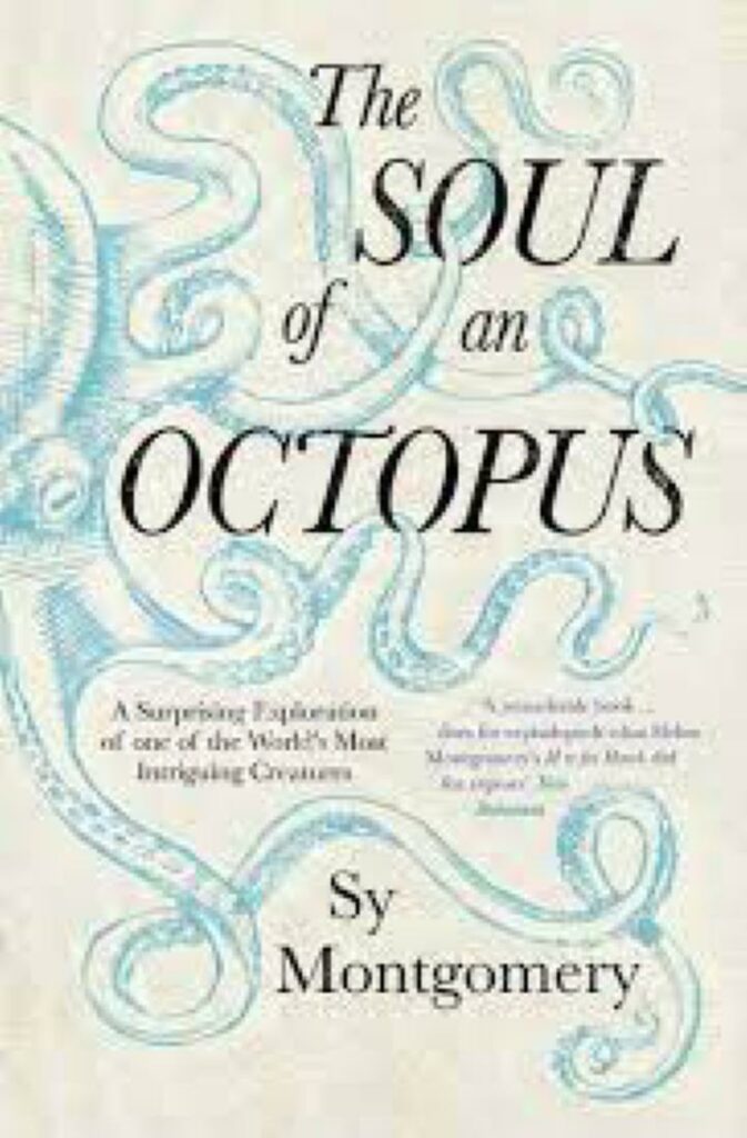 Die Seele eines Oktopus