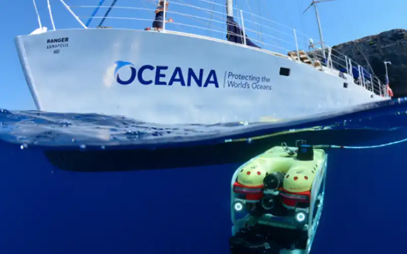 Oceana - Bottom Trawling